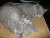 Foto's 23) 23 november 2010