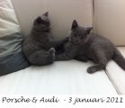 Foto's 00) A-Nest #1 & 4 De mannen
