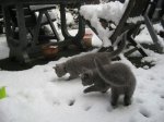 Foto's 29) 17 december 2010 - Sneeuw pret