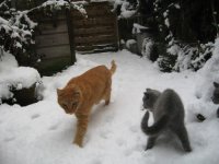 Foto's 29) 17 december 2010 - Sneeuw pret