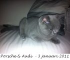 Foto's 00) A-Nest #1 & 4 De mannen