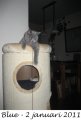 Foto's 00) A-Nest #5 Blue