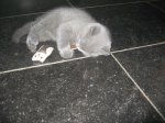 Foto's 26) 1 december 2010