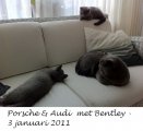 Foto's 00) A-Nest #1 & 4 De mannen