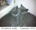 Foto's 00) A-Nest #1 & 4 De mannen