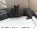 Foto's 00) A-Nest #1 & 4 De mannen
