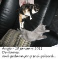 Foto's 00) A-Nest #2 Aagje