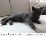 Foto's 00) A-Nest #1 & 4 De mannen
