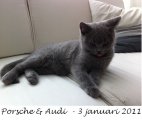 Foto's 00) A-Nest #1 & 4 De mannen