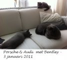 Foto's 00) A-Nest #1 & 4 De mannen