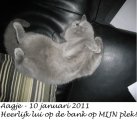 Foto's 00) A-Nest #2 Aagje