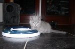 Foto's 27) 4 december 2010
