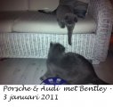 Foto's 00) A-Nest #1 & 4 De mannen