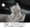 Foto's 00) A-Nest #2 Aagje