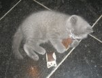 Foto's 26) 1 december 2010
