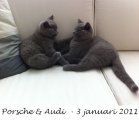 Foto's 00) A-Nest #1 & 4 De mannen