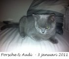 Foto's 00) A-Nest #1 & 4 De mannen