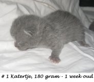 Foto's 00) A-Nest per week