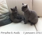 Foto's 00) A-Nest #1 & 4 De mannen