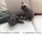 Foto's 00) A-Nest #1 & 4 De mannen