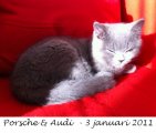 Foto's 00) A-Nest #1 & 4 De mannen