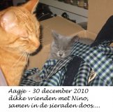 Foto's 00) A-Nest #2 Aagje