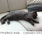 Foto's 00) A-Nest #1 & 4 De mannen