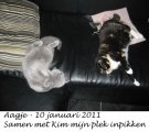 Foto's 00) A-Nest #2 Aagje