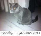 Foto's 00) A-Nest #1 & 4 De mannen