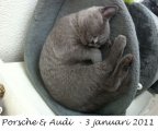 Foto's 00) A-Nest #1 & 4 De mannen