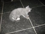 Foto's 26) 1 december 2010