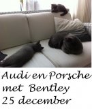 Foto's 00) A-Nest #1 & 4 De mannen