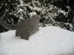 Foto's 29) 17 december 2010 - Sneeuw pret