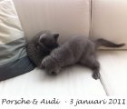 Foto's 00) A-Nest #1 & 4 De mannen