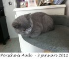Foto's 00) A-Nest #1 & 4 De mannen