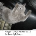 Foto's 00) A-Nest #2 Aagje