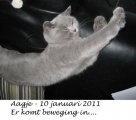 Foto's 00) A-Nest #2 Aagje