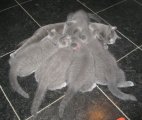Foto's 25) 30 november 2010