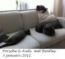 Foto's 00) A-Nest #1 & 4 De mannen