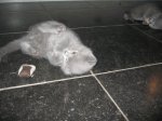 Foto's 26) 1 december 2010