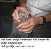 Foto's) Scheef gebitje
