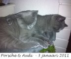 Foto's 00) A-Nest #1 & 4 De mannen
