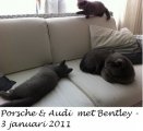 Foto's 00) A-Nest #1 & 4 De mannen