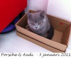 Foto's 00) A-Nest #1 & 4 De mannen