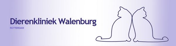 bannerdierenkliniekwalenburg